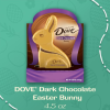 Dove Easter Bunny Dark Chocolate Candy Gift - 4.5 oz